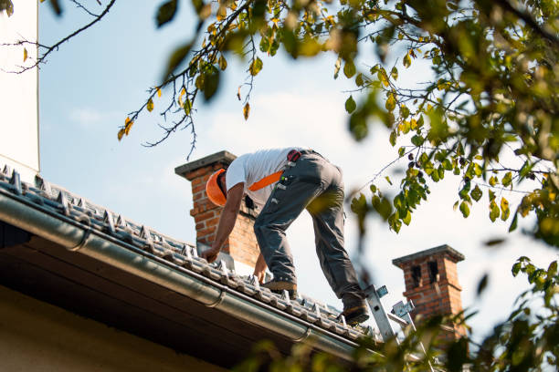 Best Roof Leak Repair  in Maugansville, MD